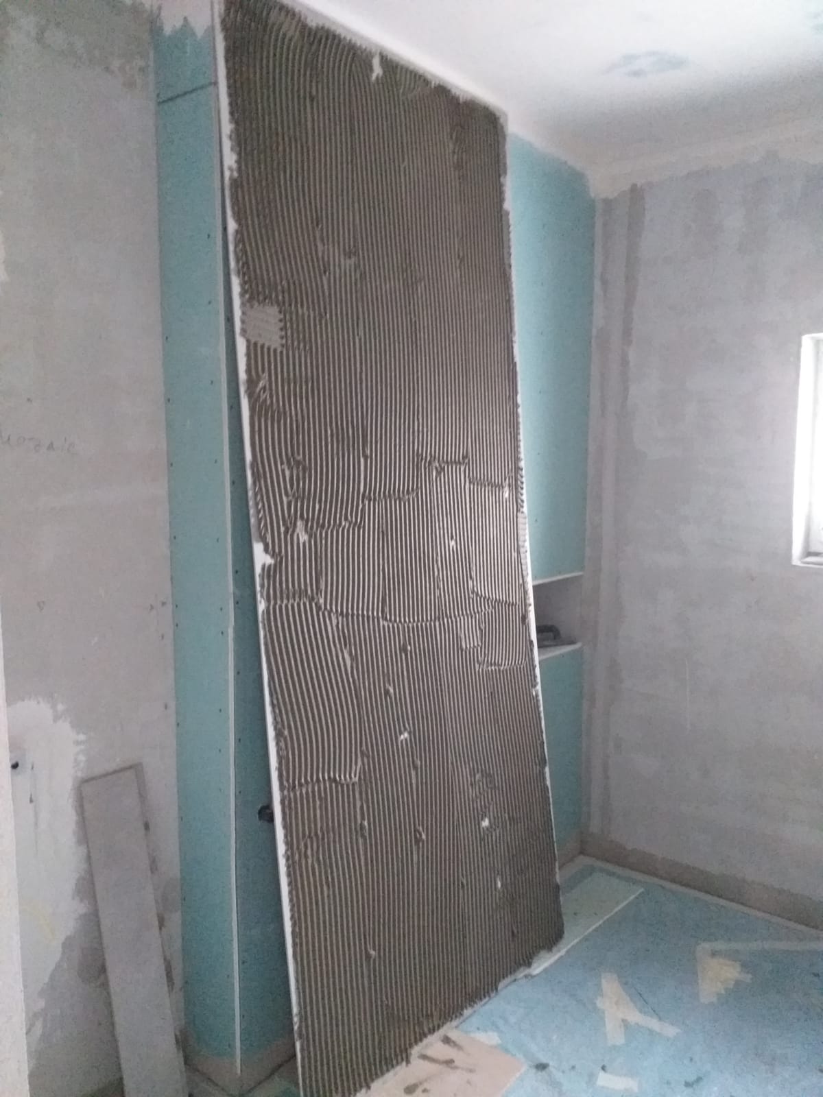 Constructii Case Timisoara